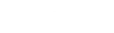 Nippon bearing